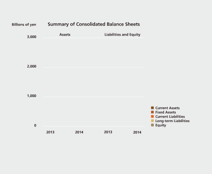Summary of Consolidated Balance Sheets