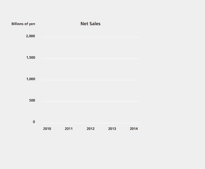 Net Sales
