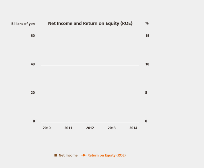 Net Income and Return on Equity (ROE)