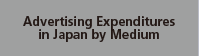 Advertising Expenditures in Japan by Medium