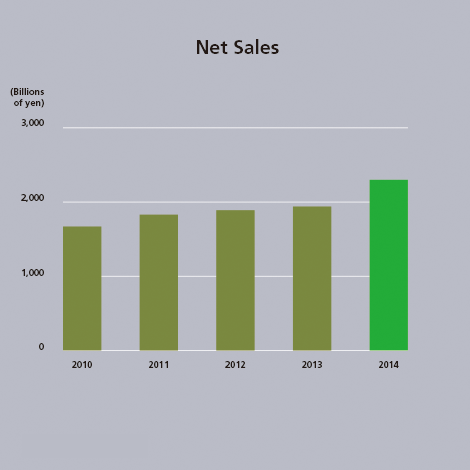 Net Sales