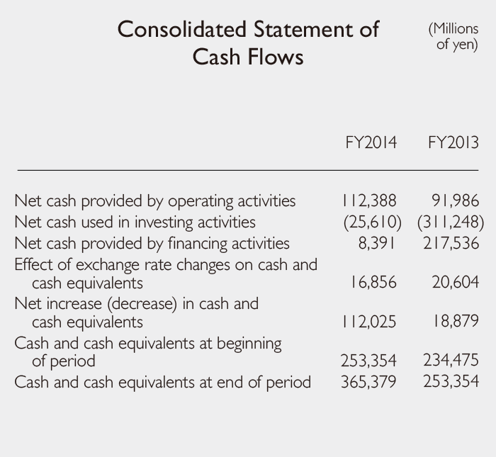 Consolidated Statement of Cash Flows