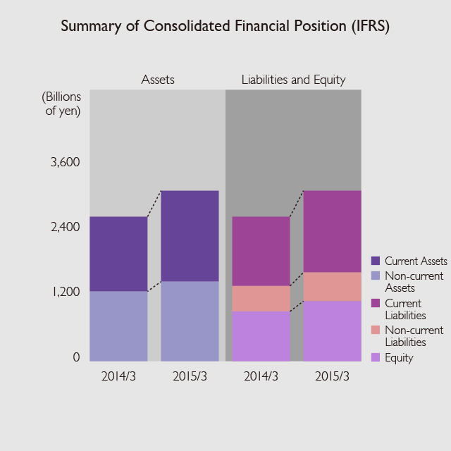 Summary of Consolidated Financial Position (IFRS)