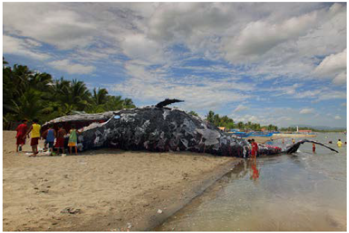 A whale crafted with ocean plastice