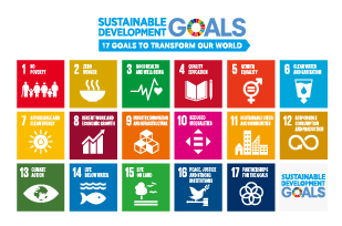 Contributing To Sustainable Development Goals (SDGs)