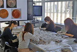 Volunteers sort coin-based foreign currency