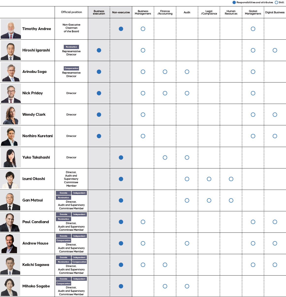 Director skills matrix