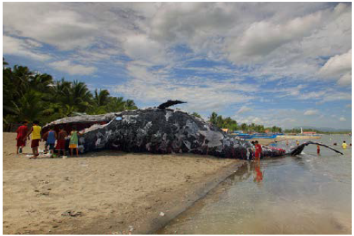 プラスチック海洋ゴミで制作されたクジラ